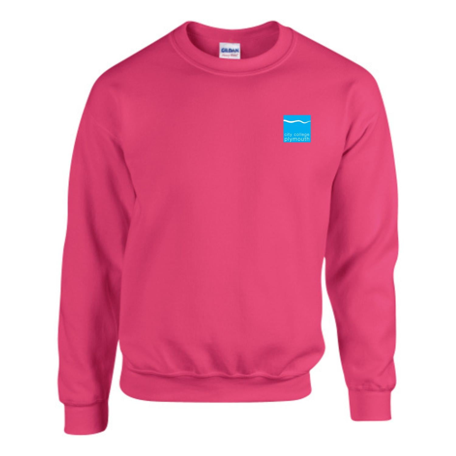 City College Plymouth Crewneck
