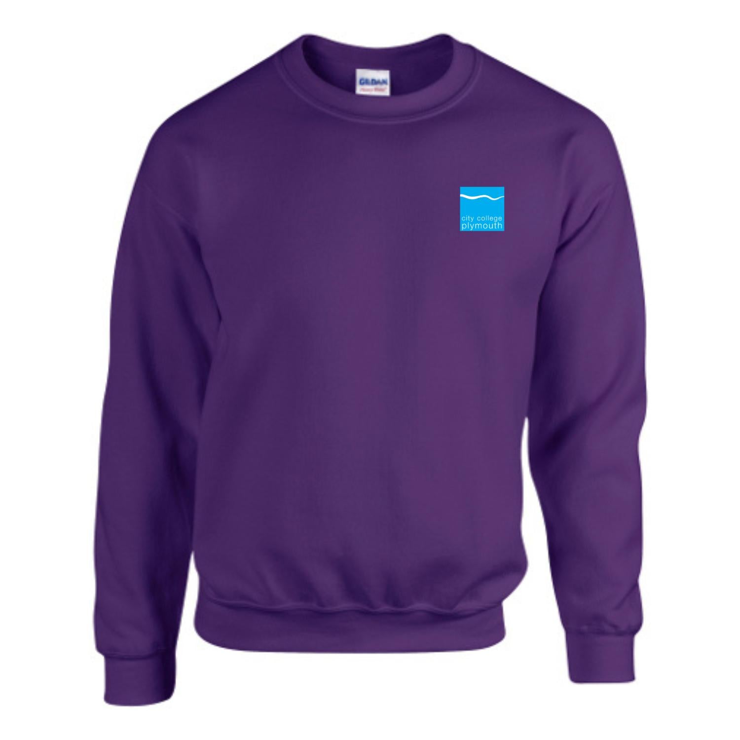 City College Plymouth Crewneck